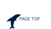 Pagetop